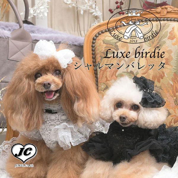 楽天市場】【Luxebirdie】シャルマンバレッタ（犬 服 小型犬 ヘア