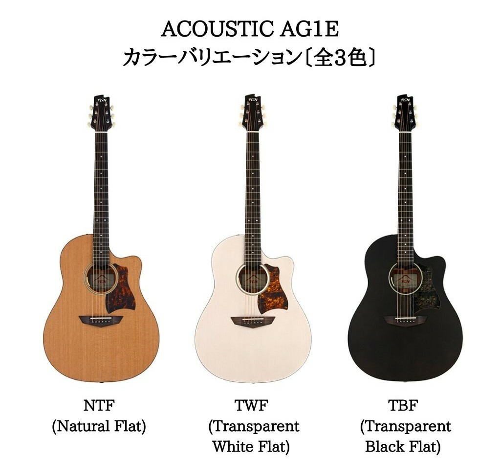 楽天市場】FGN ACOUSTIC AG1E NTF Natural FlatFUJIGEN フジゲン 富士