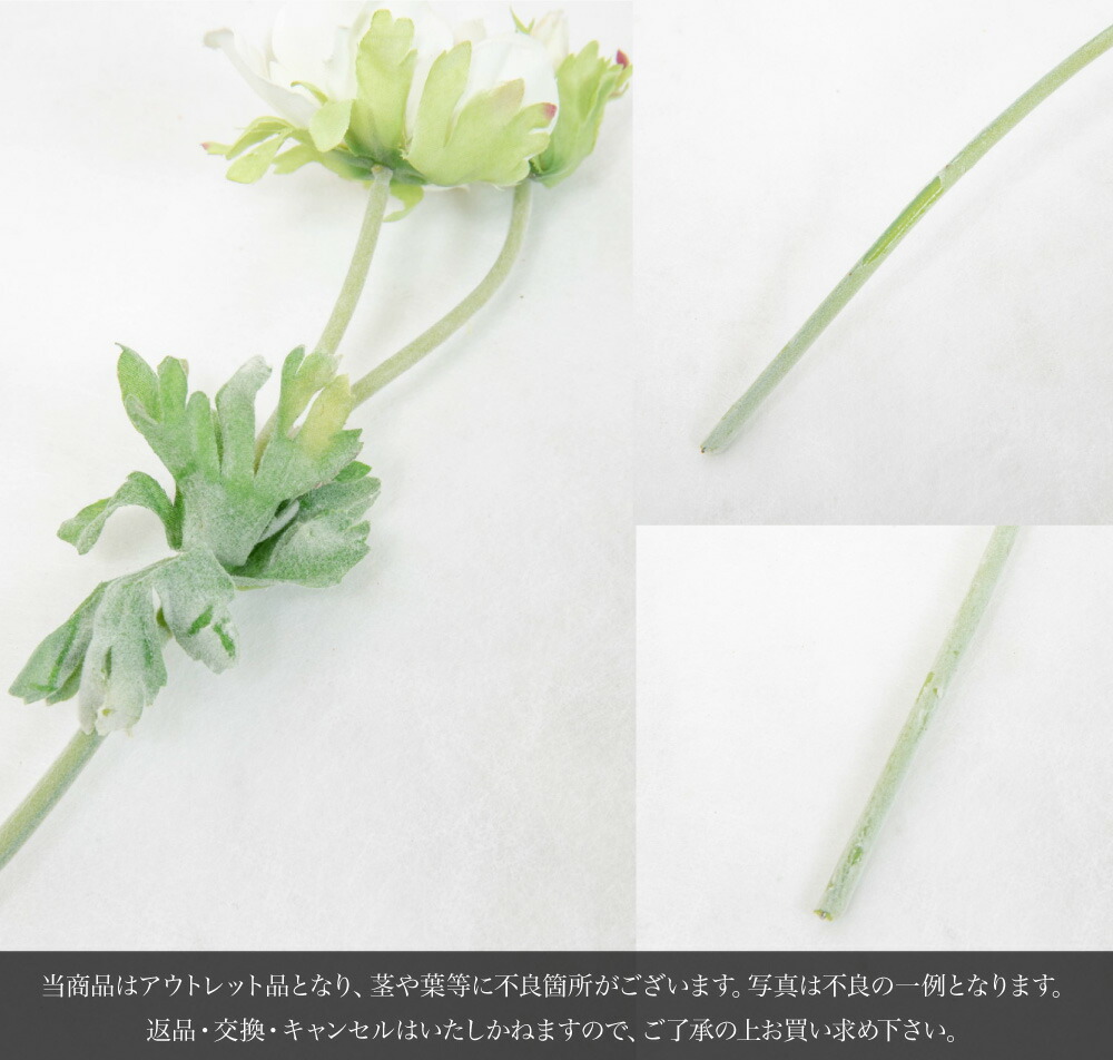 楽天市場】【楽天スーパーSALE 20%OFF】フロックアネモネスプレー×1本