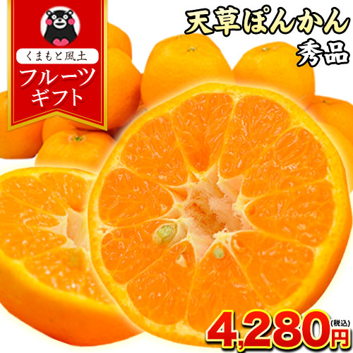 楽天市場】【光センサー選果で厳選】秀品☆天草ぽんかん約4kg Lサイズ