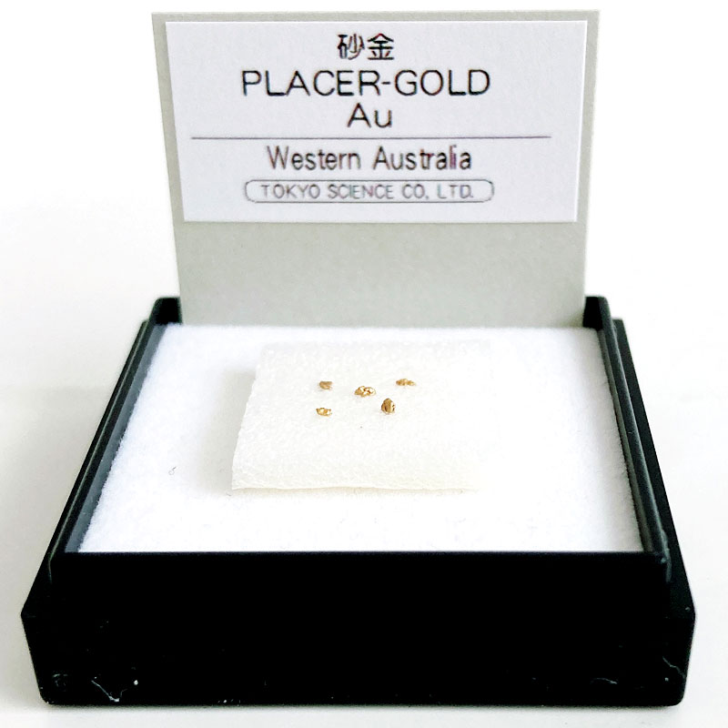 楽天市場】砂金（オーストラリア） 鉱物 標本 東京サイエンス ミニ鉱物