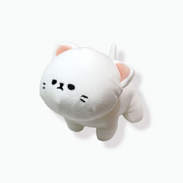 楽天市場】【クーポン配布中!】在庫あり!!【定形外送料無料