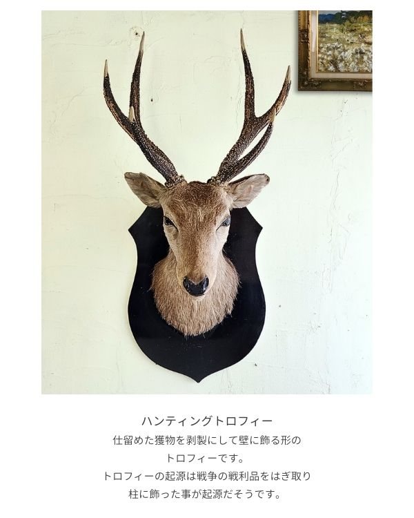 楽天市場】ハンティングトロフィー 鹿 オブジェ 壁掛け 剥製 シカ 狩猟