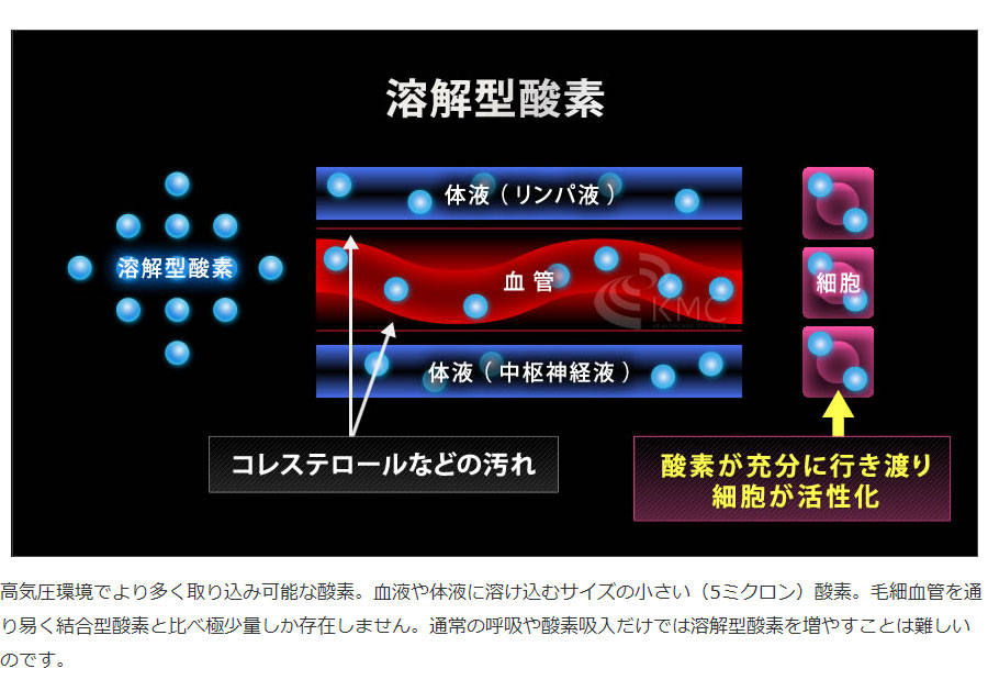 楽天市場】オキシリウム【OXYRIUM】【1.3気圧】【酸素カプセル】【家庭