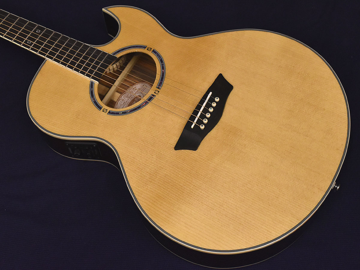 楽天市場】（お取り寄せ商品）Washburn アコースティックギター