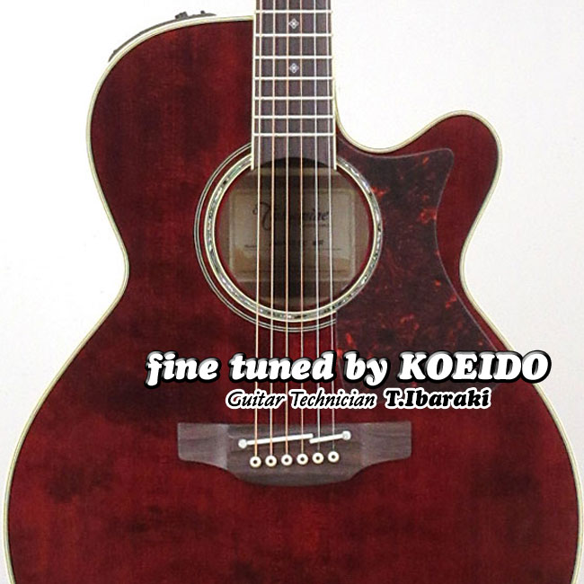 楽天市場】TAKAMINE DMP551C WR【スペア弦＆レビュー特典付き