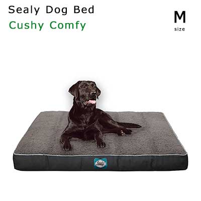Sealy ドッグベッド ラックスプレミアム S ペット用 シーリー 廃盤品 犬 Sealy Sealy Dog Bed Lux Premium / シーリー シーリー ドッグベッド
