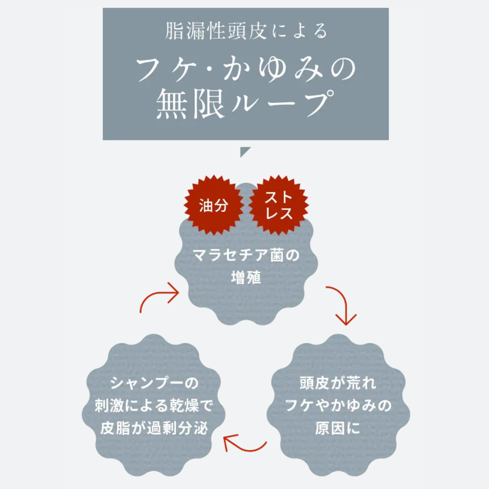 楽天市場】【公式】でかソン（KADASON（カダソン）薬用スカルプ