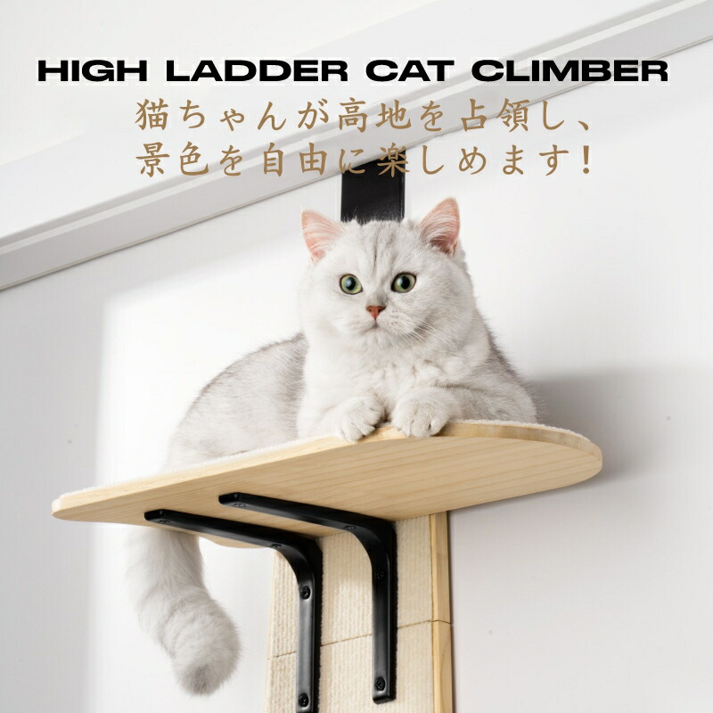 楽天市場】【スーパーSALE限定×10%OFF】ドア掛けキャットタワー スリム