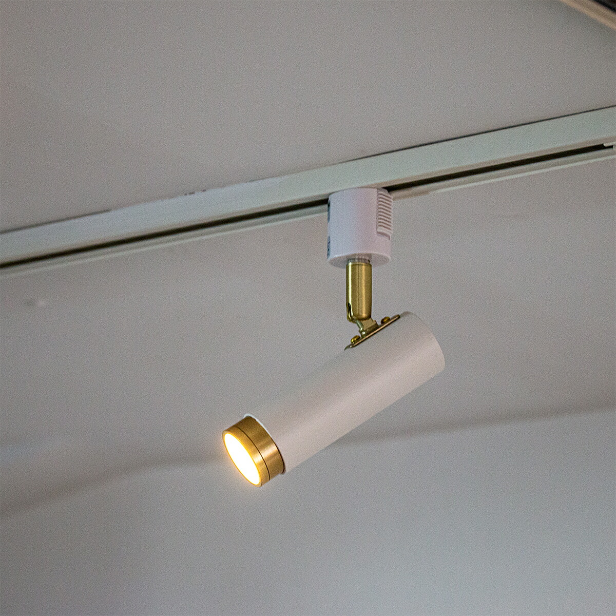 楽天市場】【先着半額クーポン】LED スポットライト 1灯 ノーシュ