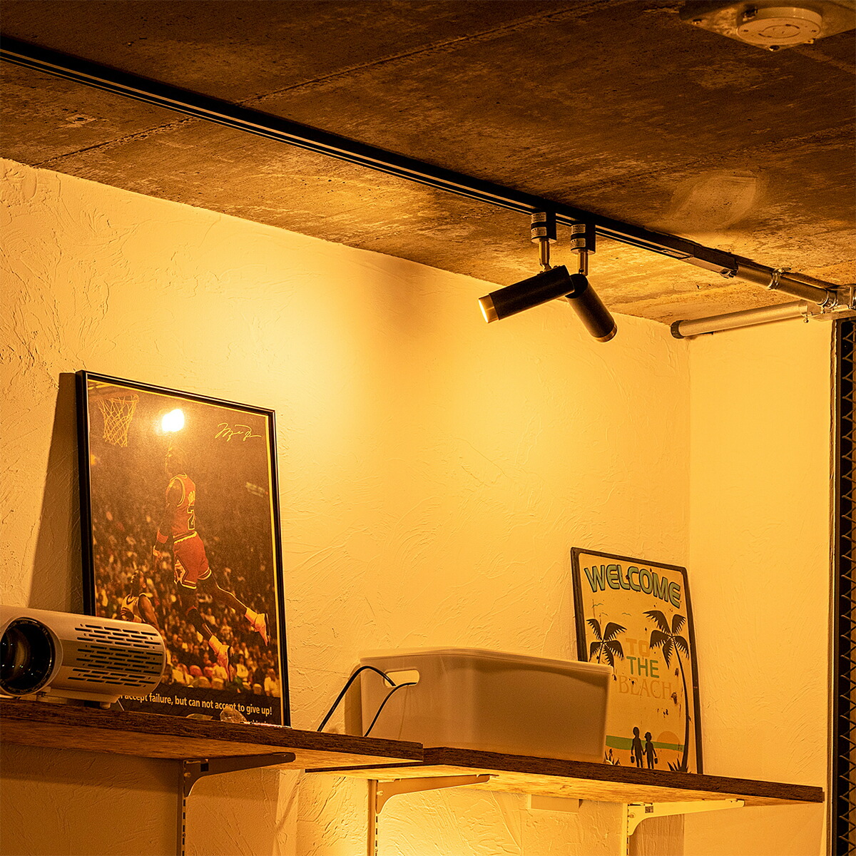 楽天市場】【先着半額クーポン】LED スポットライト 1灯 ノーシュ