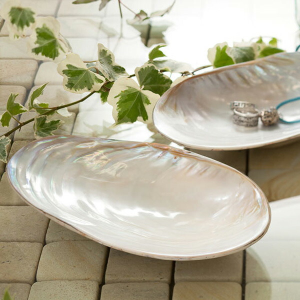 楽天市場】【最大半額＆7%OFFクーポン】シェルスパイラルトレイ バリ