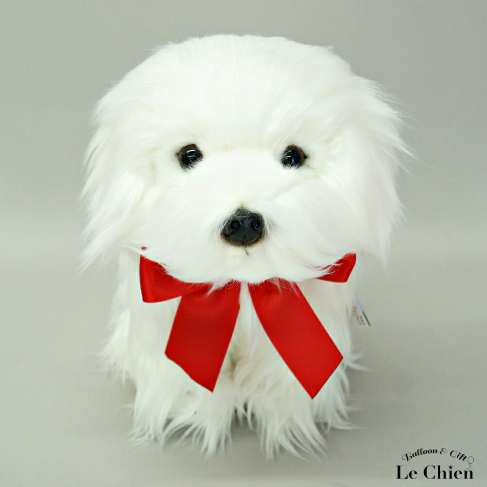 楽天市場】ぬいぐるみ 犬 白 マルチーズ リアル いぬ イヌ かわいい