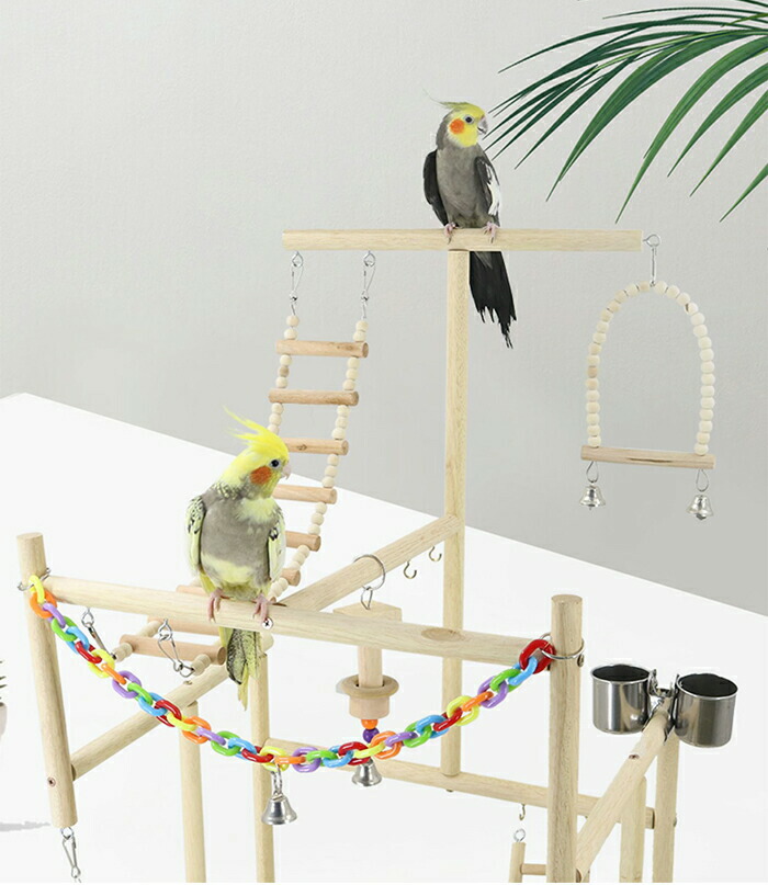 楽天市場】【10％OFF＆ポイント5倍】小鳥の遊び場 インコ 遊び場 三層