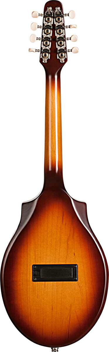 楽天市場】Seagull S8 Mandolin Sunburst EQ 新品 フラットマンドリン