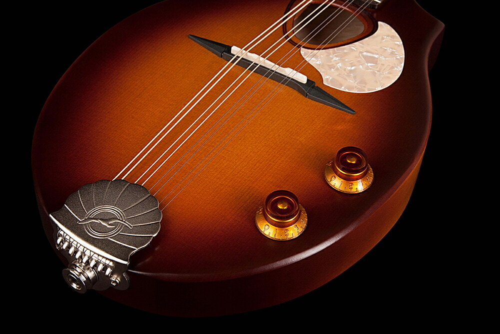 楽天市場】Seagull S8 Mandolin Sunburst EQ 新品 フラットマンドリン