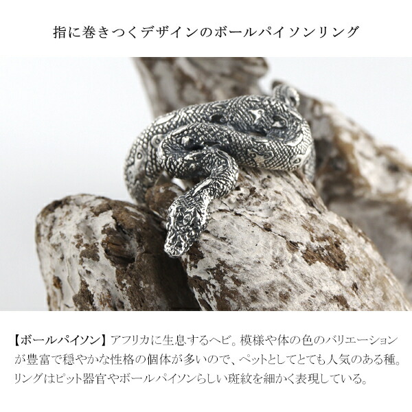 楽天市場】Cold I's ボールパイソン 巻きつき リング M 15〜27号