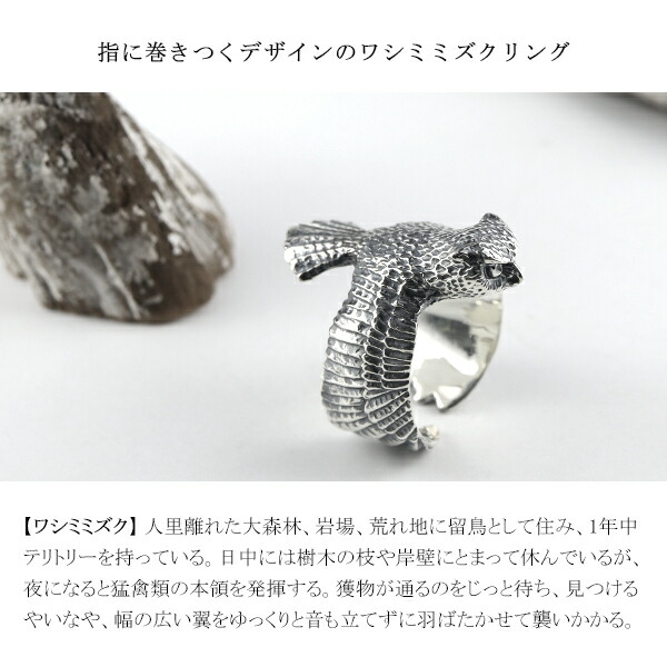 楽天市場】Cold I's ワシミミズク 巻きつき リング 14〜28号 シルバー