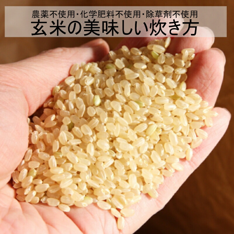 楽天市場】【楽天市場ランキング1位獲得】【令和7年度産新米】玄米