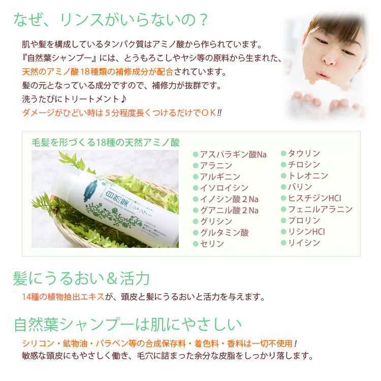 楽天市場】【送料無料】グリーンノート 自然葉シャンプー 300mL◇2本