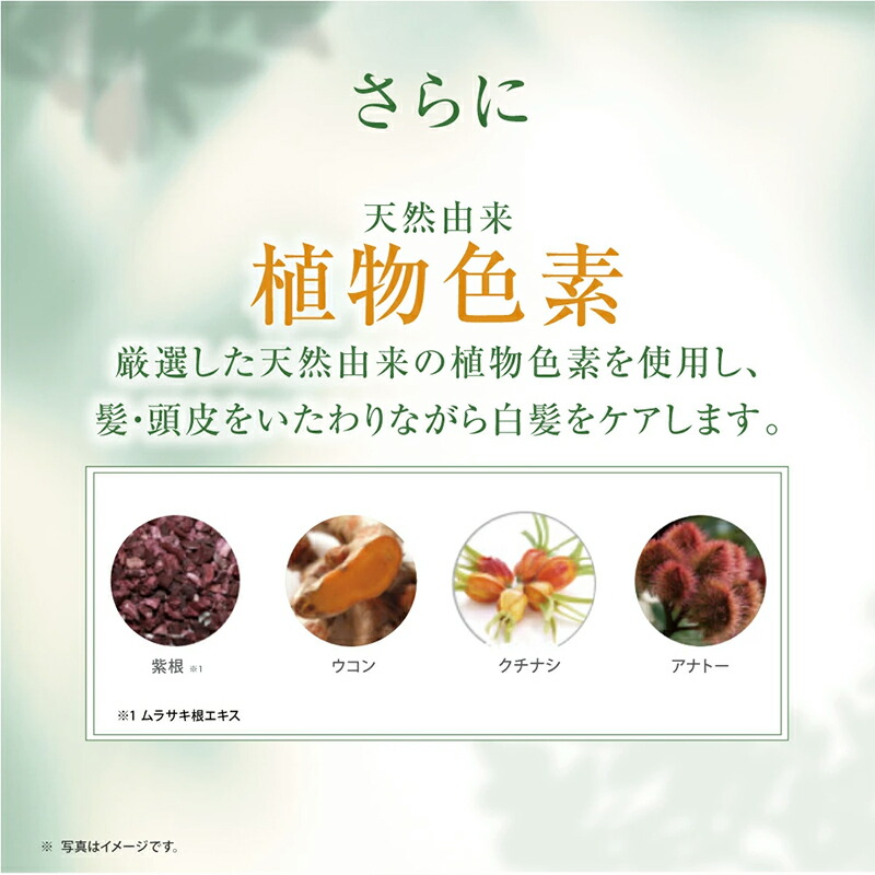 楽天市場】白髪用 利尻カラーシャンプー 200ml×2本 ＆ カラーケア