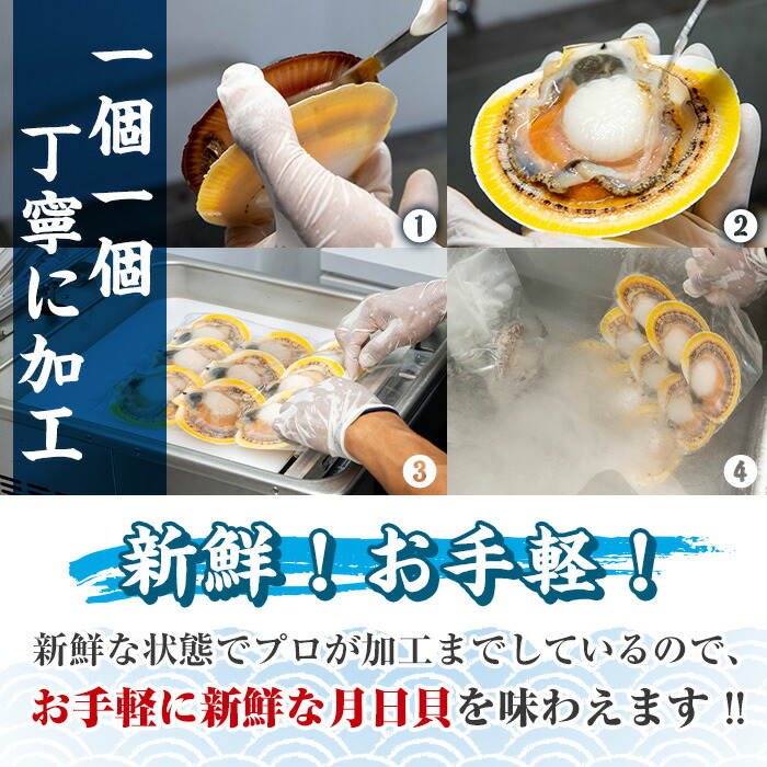楽天市場】【ふるさと納税】活きた貝を急速凍結！吹上浜の月日貝(12枚