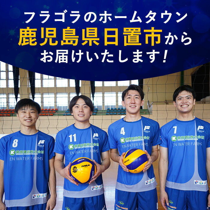 楽天市場】【ふるさと納税】＜数量限定＞V3参戦決定！フラーゴラッド