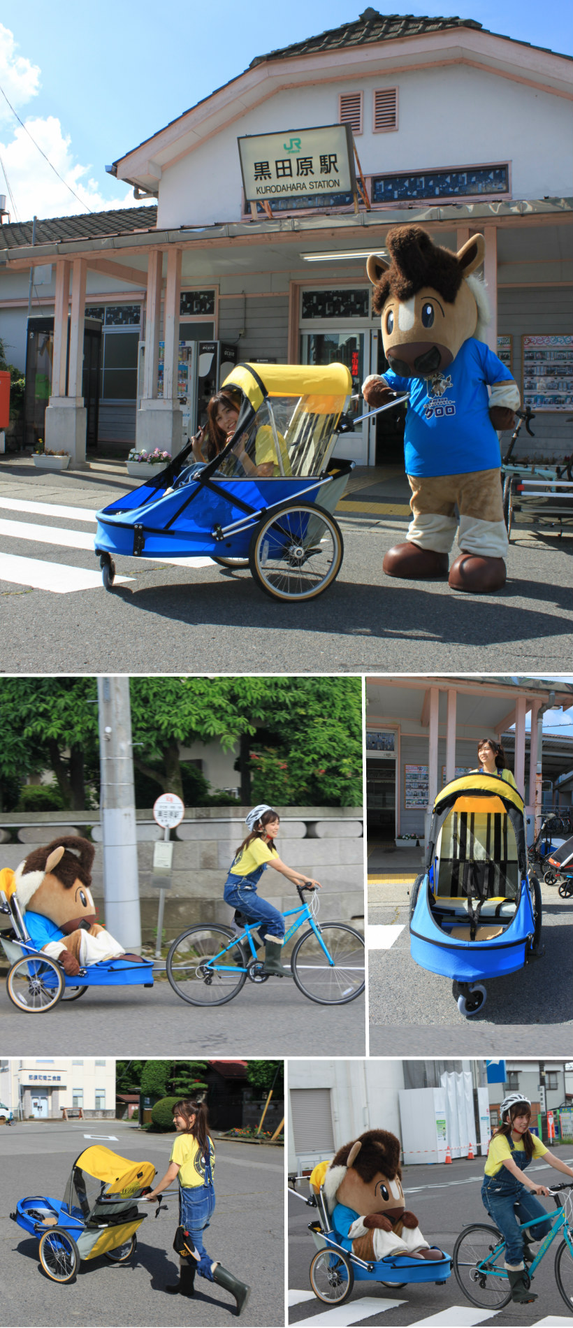 楽天市場】【即納】ワイク-大型福祉チャイルドトレーラー＜Wike Large