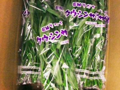 楽天市場】空芯菜〈クウシンサイ〉1パック、100g〜200g前後 : 【築地