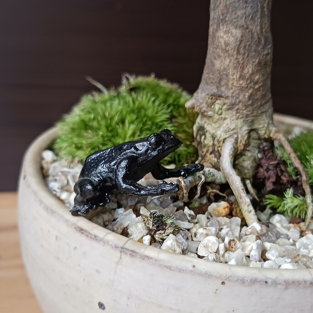 楽天市場】ミニチュア 置物 飾りフィギュア かえる 盆景 蛙（かえる