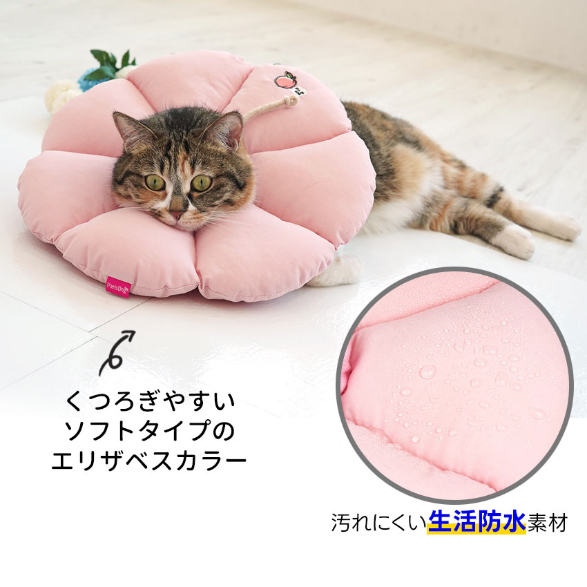 楽天市場】【3/11まで限定！最大100％ポイントバック※要エントリー】犬