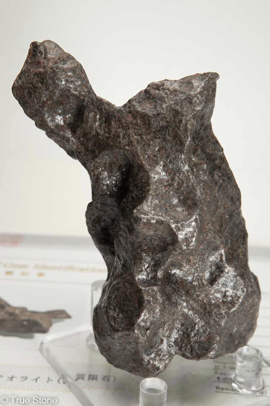 楽天市場】鑑別書付き カンポデルシエロ隕石 メテオライト 1079.8g