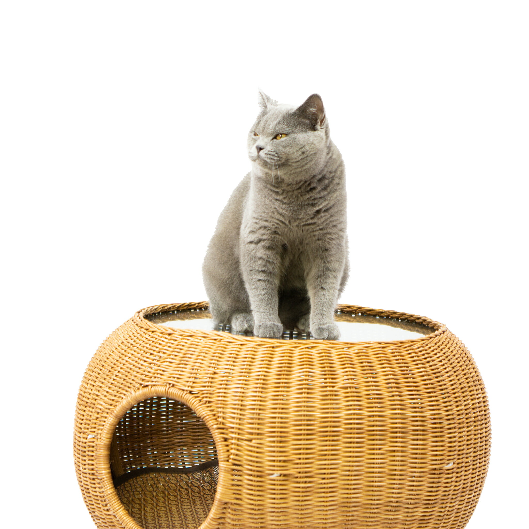 楽天市場】ラタンガラステーブル（猫ハウス） ガラステーブルなので中