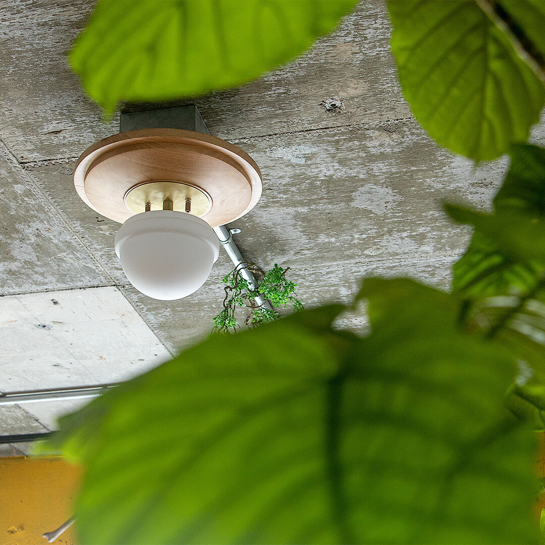 楽天市場】エントリーで+10倍 全商品対象 1灯 シーリングライト RAGDOL