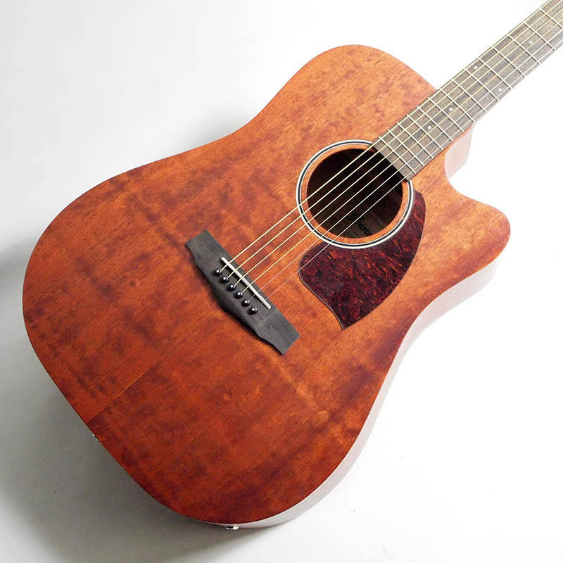 楽天市場】Ibanez PF12MHCE-OPN (Open Pore Natural) エレアコ