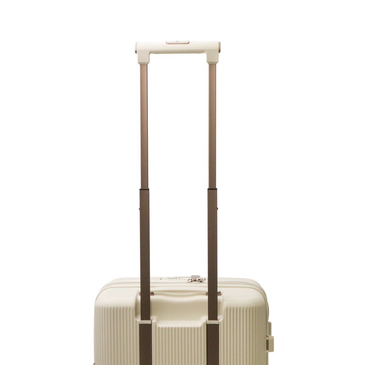 楽天市場】【最大64倍 3/5限定】 ノベルティ付 【正規品10年保証