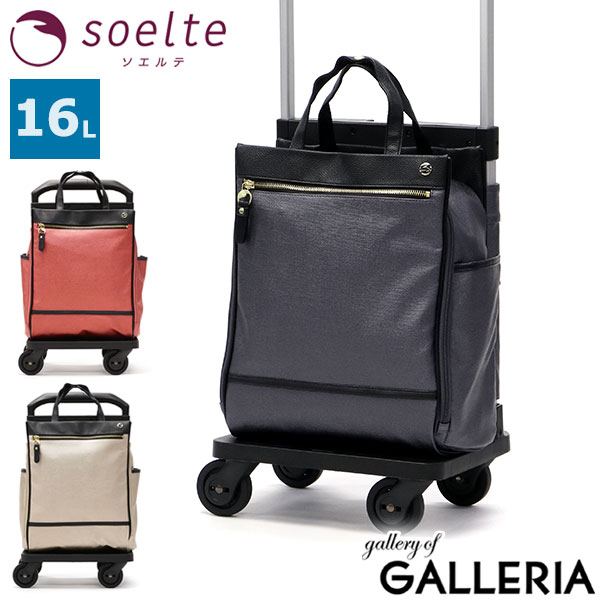 楽天市場】ソエルテ アルディート 20l エース aceの通販