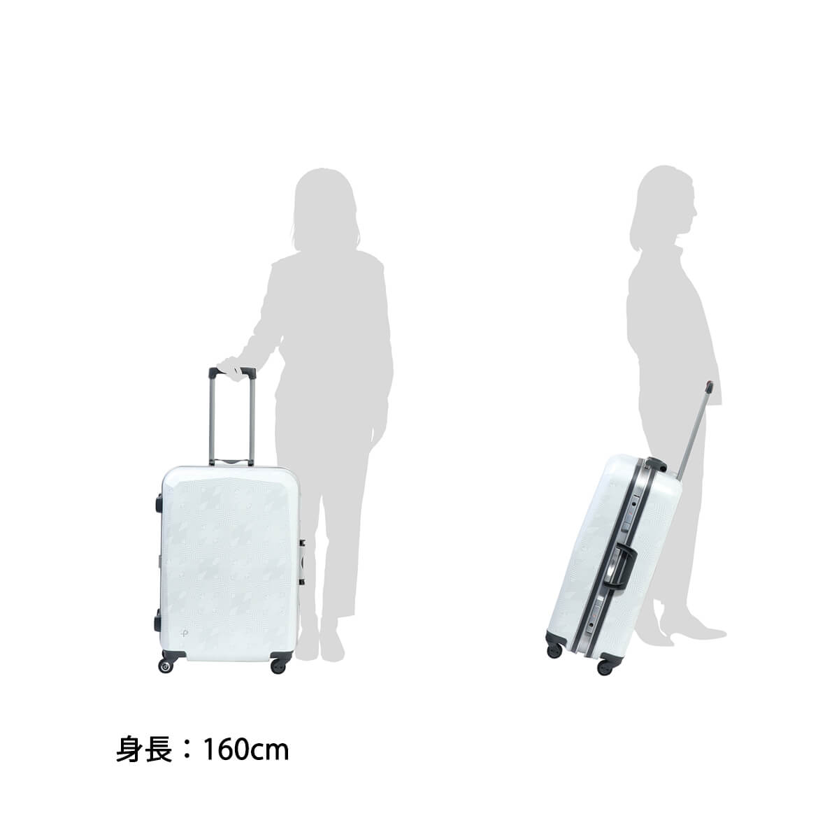 楽天市場】【10%OFFクーポン11日2時迄】【最大57倍 3/5限定