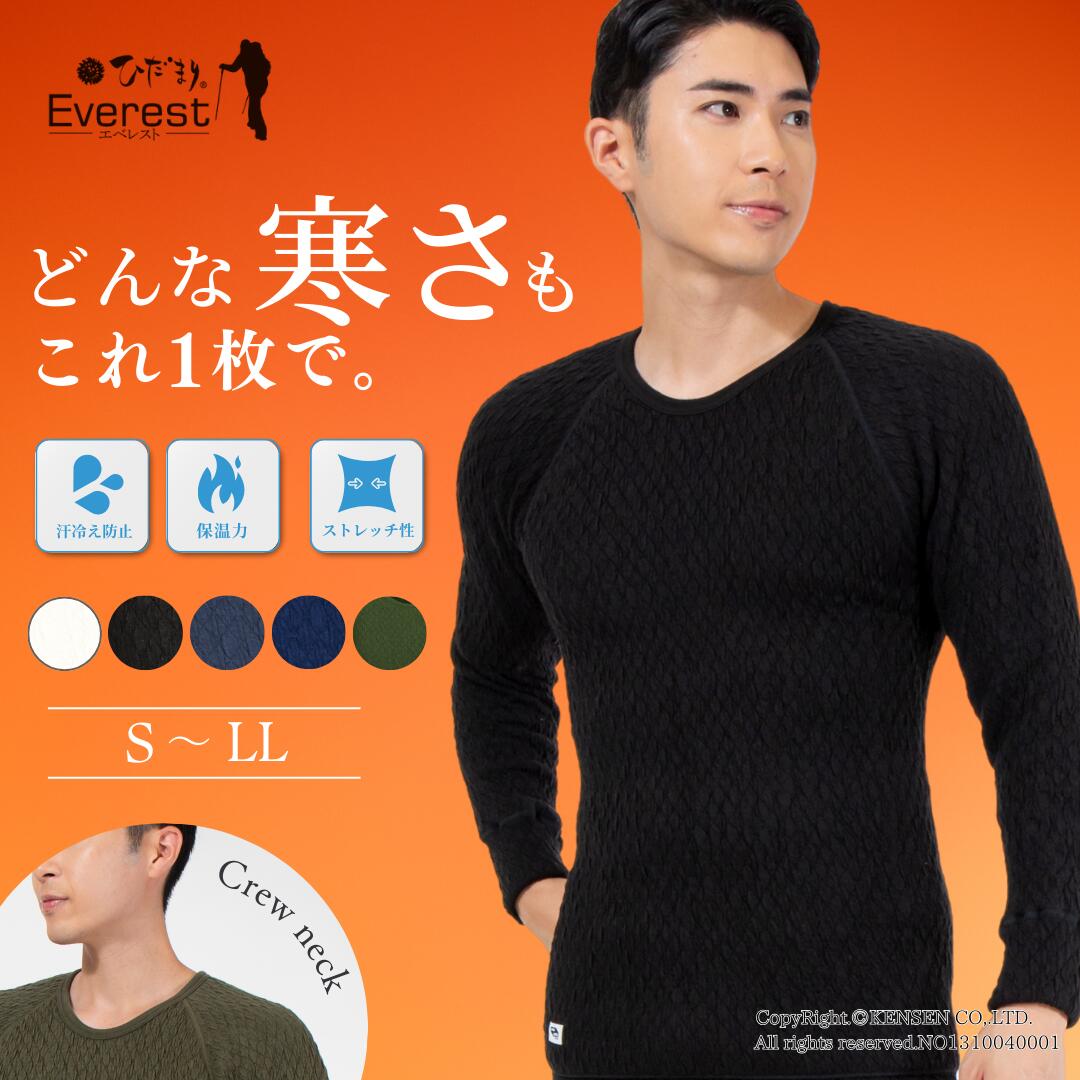 楽天市場】テイジン テビロンの通販