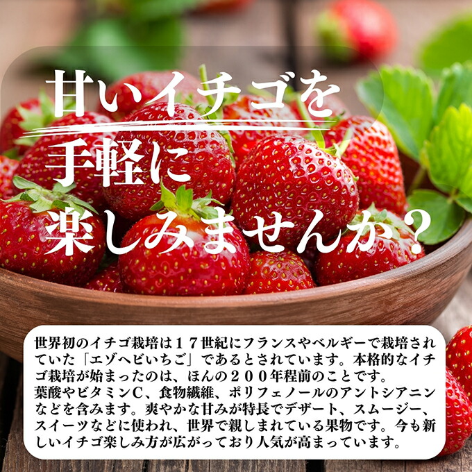 楽天市場】いちご フリーズドライ 60g×5個 FD イチゴ ストロベリー