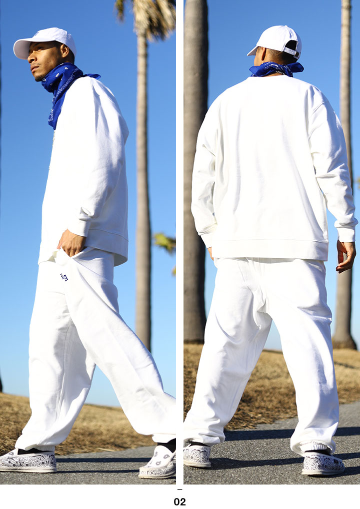 楽天市場】ACE FLAG トレーナー ブランド スケボー 長袖 スウェット 裏