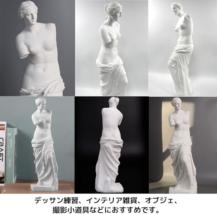 楽天市場】ミロのビーナス 石膏像 ルーブル美術館の至宝 レプリカ