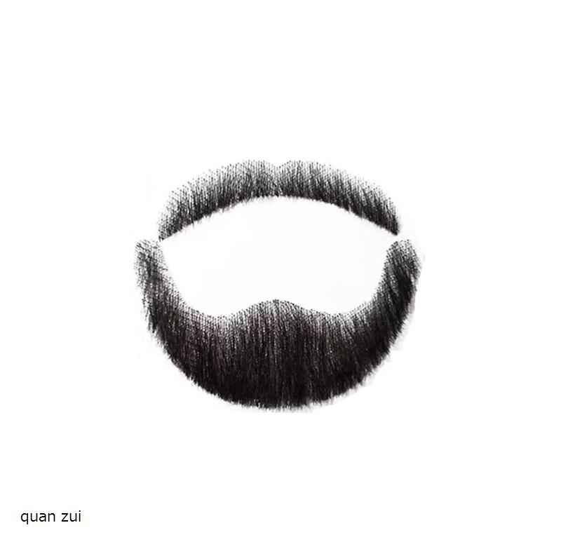 楽天市場】付け髭 ひげ 口髭 人毛 1枚 quan zui : ホリック