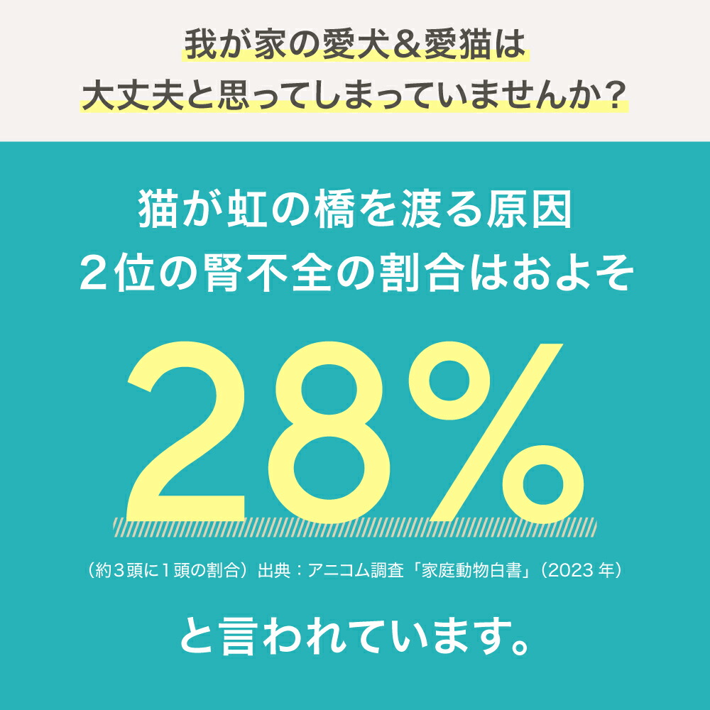 楽天市場】【4,950円OFF】 5歳からのケア 『JINパワー100』 イヌトウキ