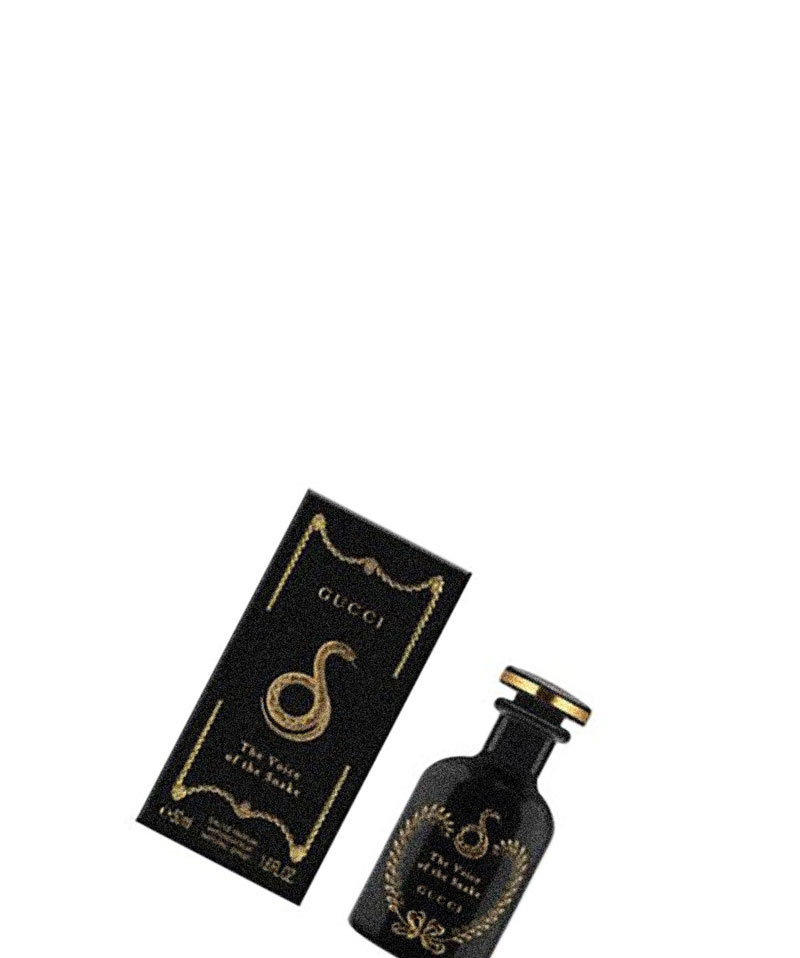 楽天市場】ザ ボイス オブ ザ スネークの通販