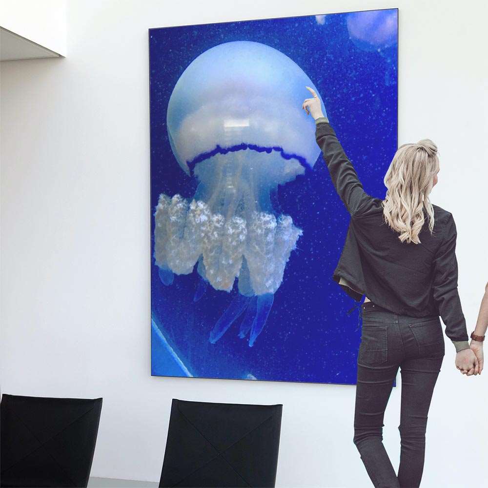 楽天市場】クラゲ くらげ ジェリーフィッシュ ポスター 海の生き物