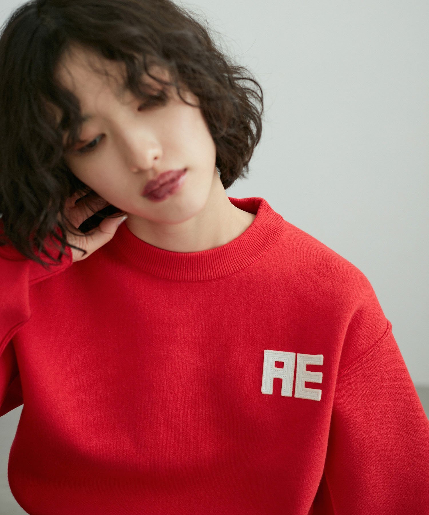 ADAM ET ROPE'｜【サステナブル・洗える】フェルト刺しゅうニットプル