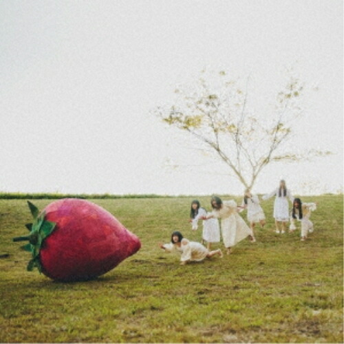 楽天市場】supreme fishbowlの通販