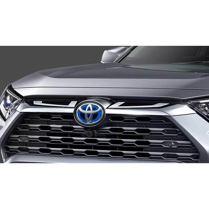 楽天市場】フロントグリルガーニッシュ RAV4 MXAA52/MXAA54 MODELLISTA