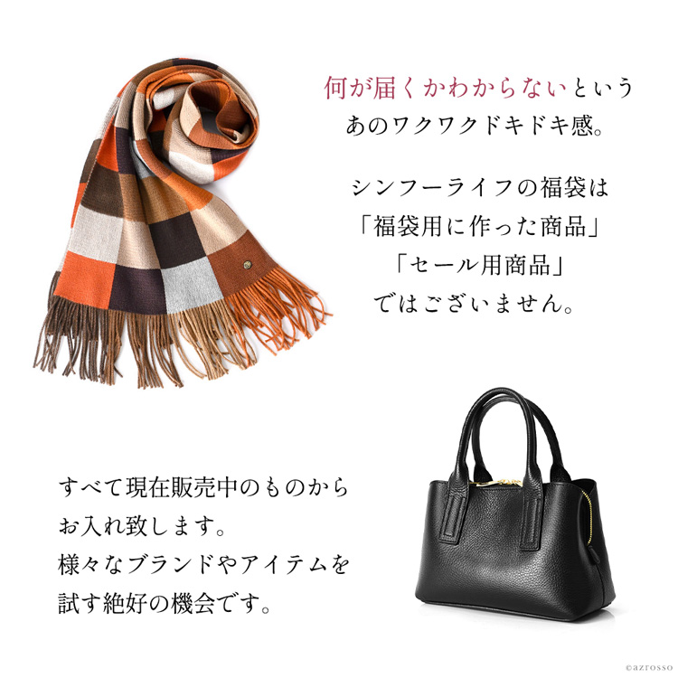 楽天市場】10個限定！ 2026 スペシャル 福袋 レディース バッグ 靴